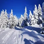 Kanja Velika Planina
