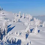 Kanja Velika Planina