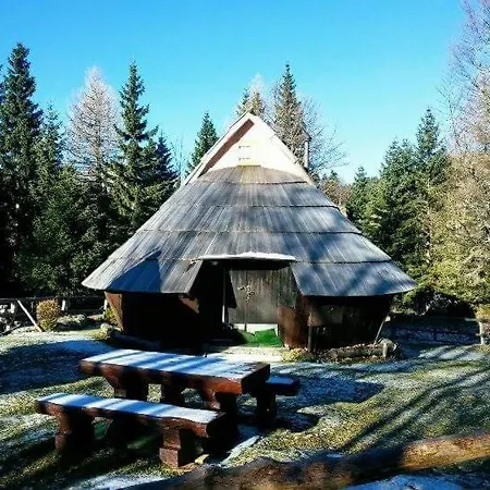 Chalet Kanja Velika Planina Chata