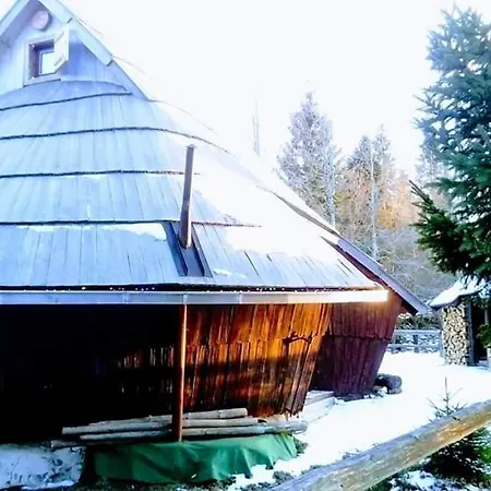 Chalet Kanja Velika Planina Stahovica