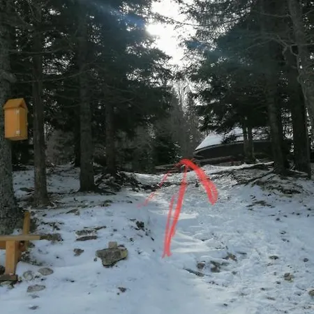 Loža Chalet Kanja Velika Planina *