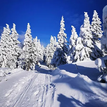 Chalet Kanja Velika Planina