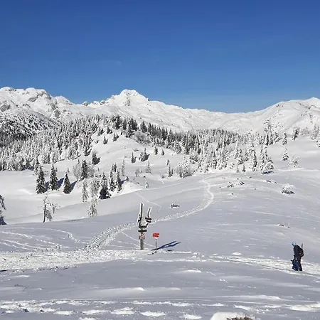 Chalet Kanja Velika Planina Stahovica