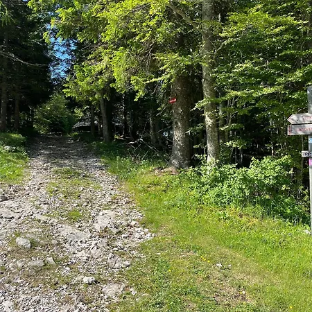 Chalet Kanja Velika Planina Chata *