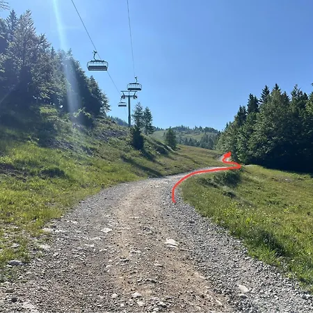 Chalet Kanja Velika Planina Chata