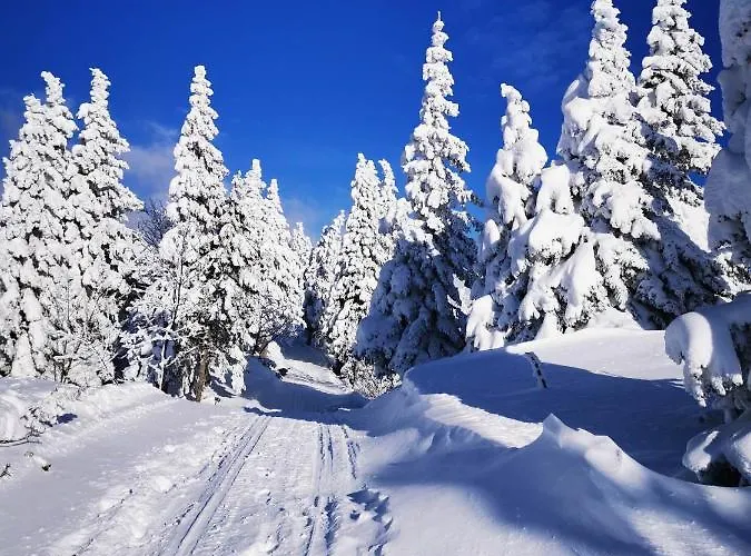 Kanja Velika Planina