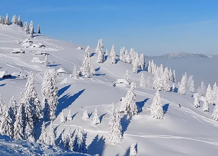 Kanja Velika Planina