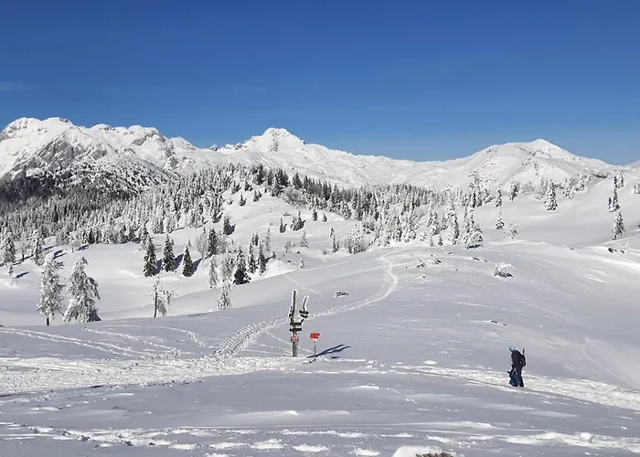 Kanja Velika Planina Stahovica