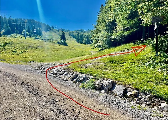 Domek letniskowy Kanja Velika Planina *