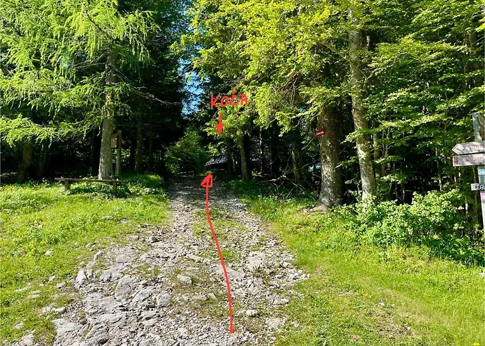 Kanja Velika Planina Domek letniskowy *