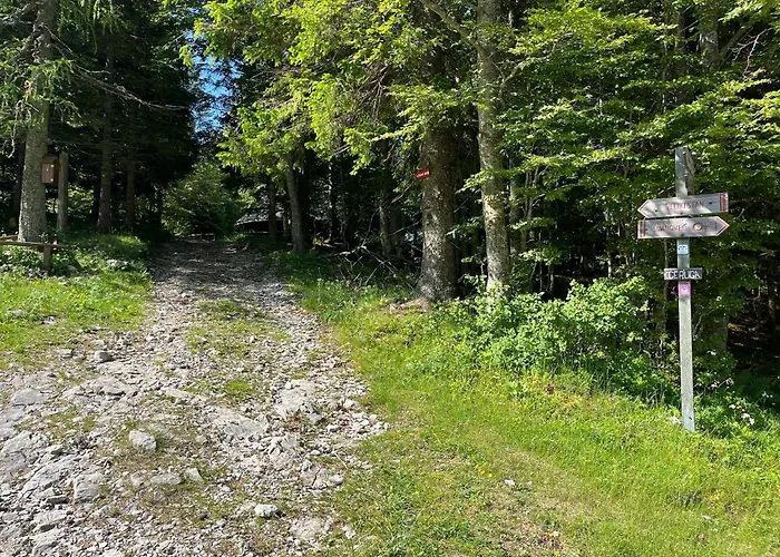 Kanja Velika Planina Domek letniskowy *