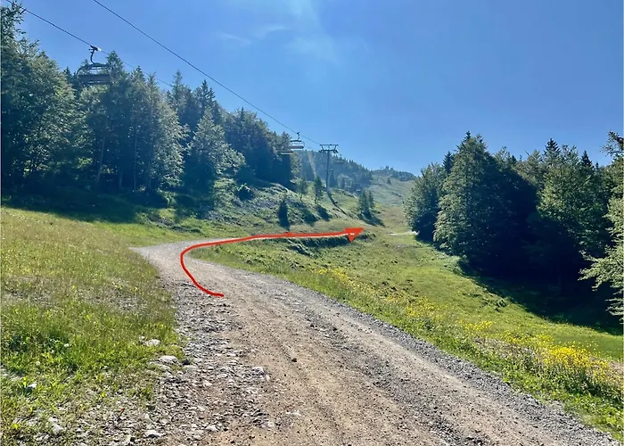 Domek letniskowy Kanja Velika Planina